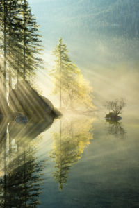 Hintersee, lake, water, reflection, light, rays, tree, autumn, fog, mood, Hintersee, lake, water, reflection, light, rays, tree, autumn, fog, mood,